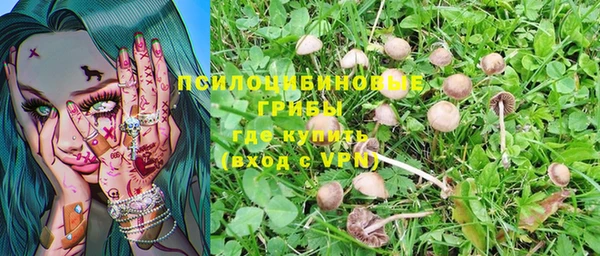 а пвп мука Козловка